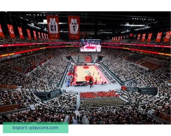 B体育入口带你畅享全球赛事精彩体验，开启无与伦比的体育之旅